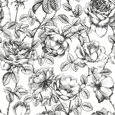 Rose pattern white clipart