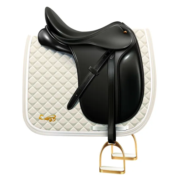 Dressage saddle — Stock Vector