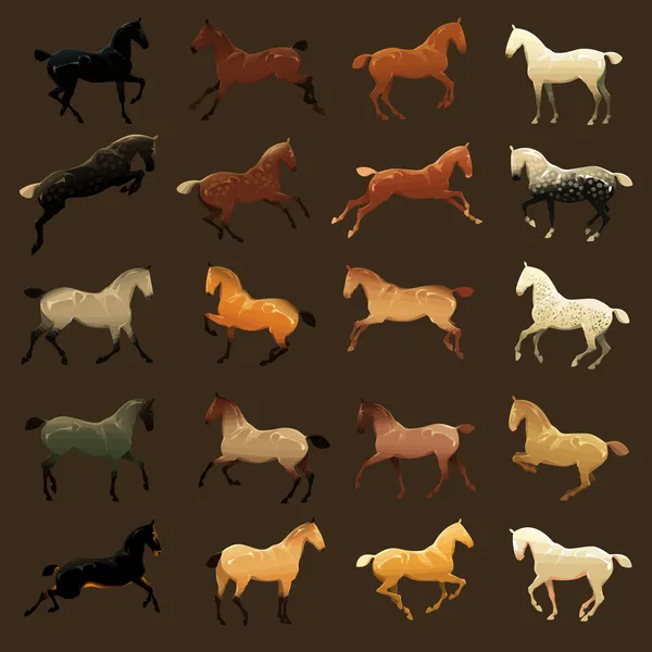 Color de la capa del caballo — Vector de stock