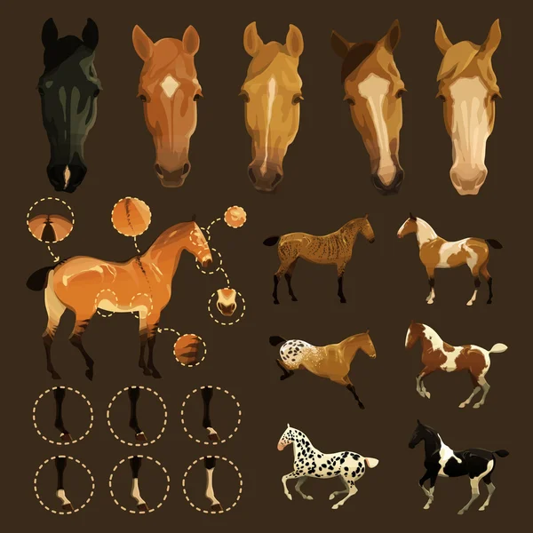 Las marcas del caballo — Vector de stock