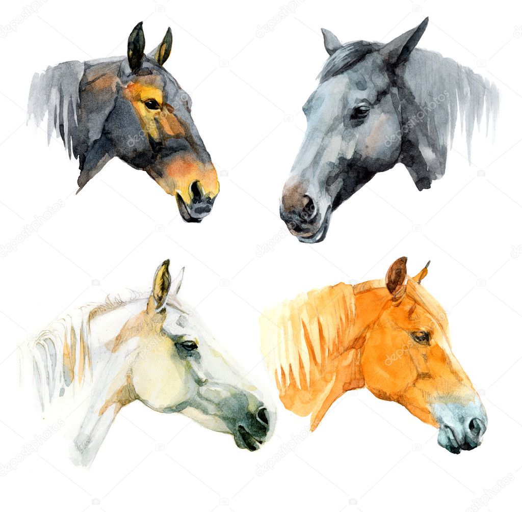 Watercolor horses