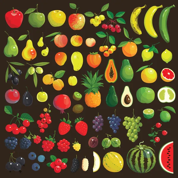 Плоды и ягоды — стоковый вектор