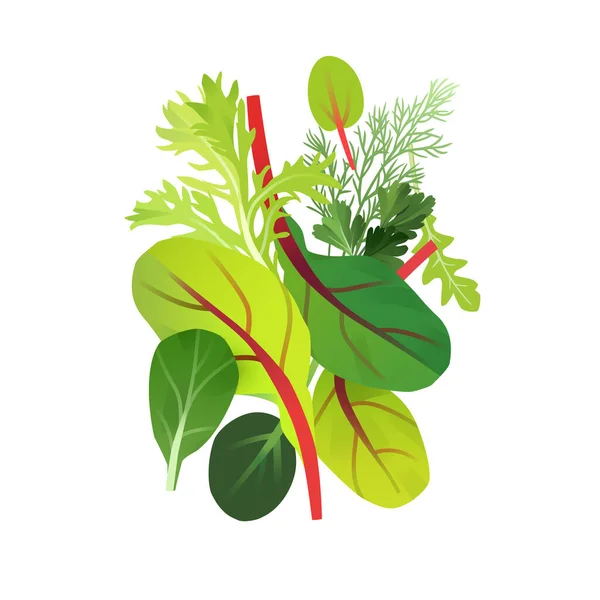 Yapraklı Yeşiller Vektör Çizimi Sağlıklı Beslenme Konsepti — Stok Vektör
