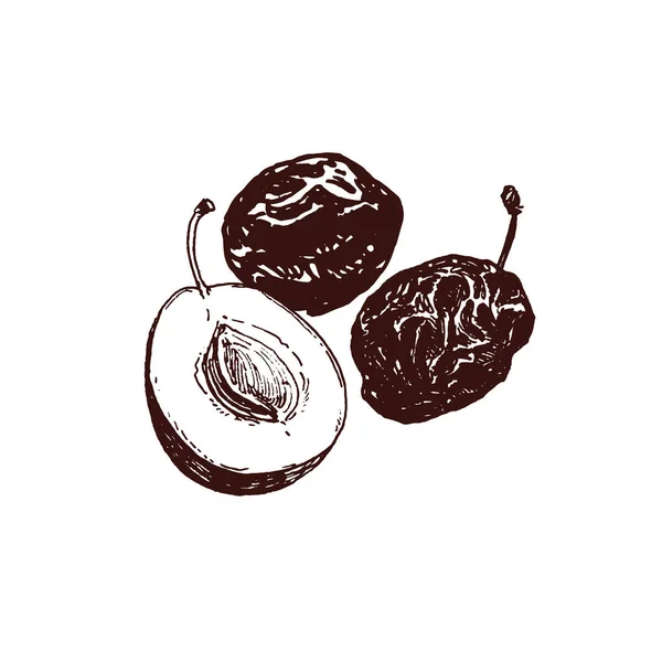 Dibujo Frutas Ciruela Secas Ciruelas Pasas Dibujadas Mano Ilustración Alimentos — Archivo Imágenes Vectoriales