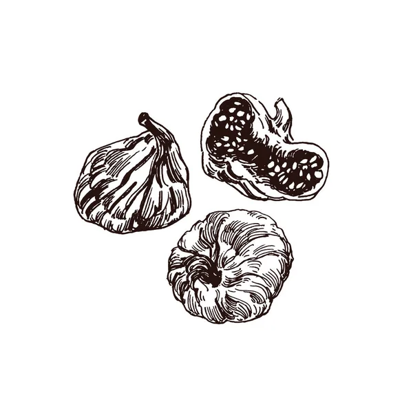 Dessin Figues Séchées Illustration Nourriture Gros Plan Dessin Style Plat — Image vectorielle