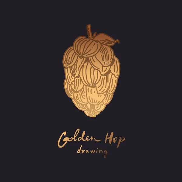 Golden Hop Icoon Met Hand Getekend Bier Hop Illustratie Lijn — Stockvector