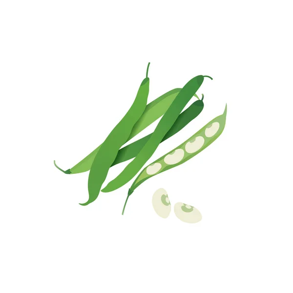 绿豆豆荚 开豆荚 健康饮食 蛋白质食物来源 扁平病媒图解 — 图库矢量图片