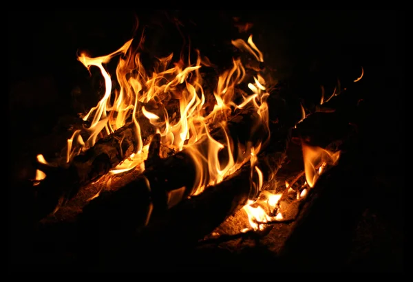 Flames of a campfire — Stock Photo, Image