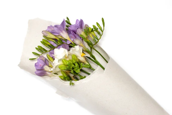 A frézia, a könyv Bouquet — Stock Fotó