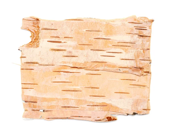 Birch bark texture — Stock Photo, Image