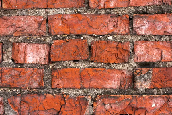 Briques dans le vieux mur — Photo