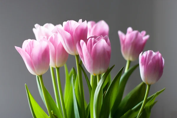 チューリップの花束 — ストック写真