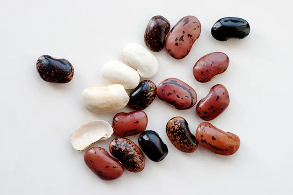 White, black and brown beans — Stock Photo, Image