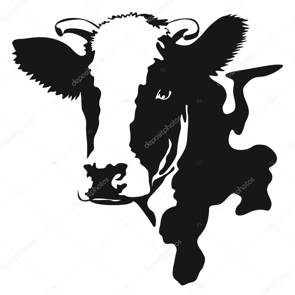 Illustration of a cow head