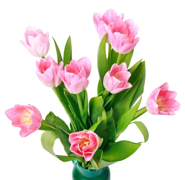 Bouquet of tulips isolated on white — Stock Photo, Image