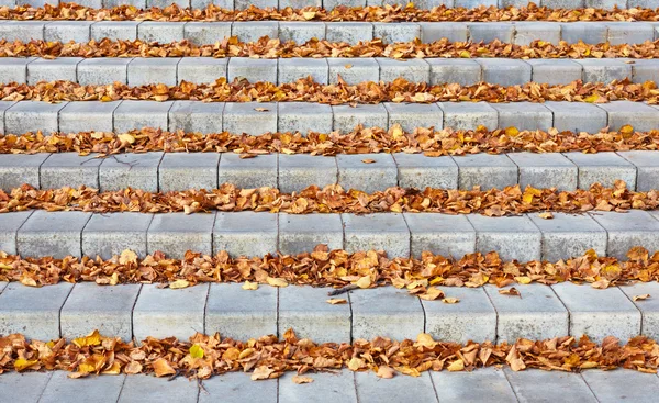 Hojas de otoño en las escaleras de hormigón — Foto de Stock