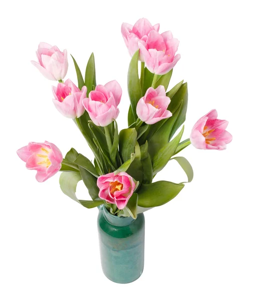 Pink tulips in gree vase isolated on white background — Stock Photo, Image