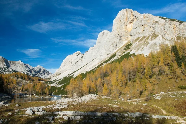 Mt. Ticarica — Stock Photo, Image