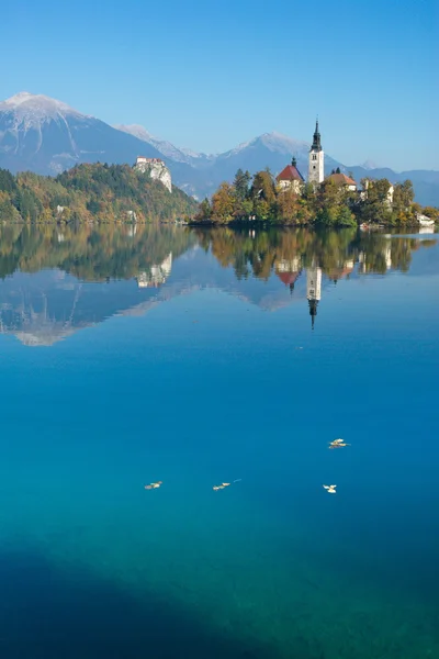 Lake Bled — Stok fotoğraf