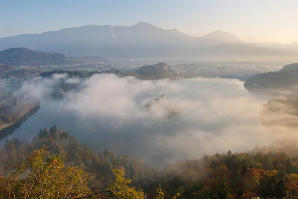 Bled from Osojnica — Stock Photo, Image