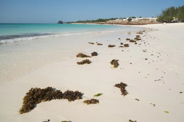 Praia — Fotografia de Stock