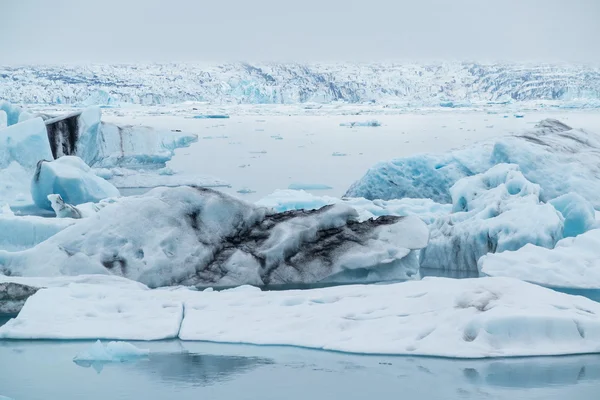 Icebergs — Photo