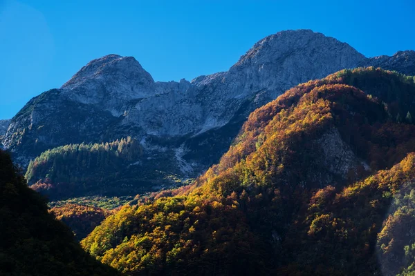 Herbst — Stockfoto