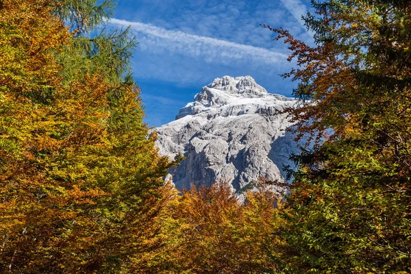 Rasierer — Stockfoto