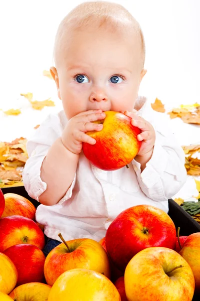 Bebê comendo maçã — Fotografia de Stock