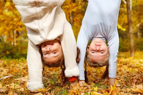 Giornata di sole autunnale — Foto Stock