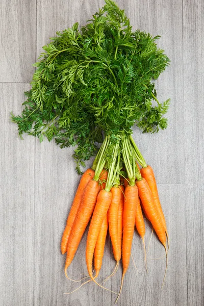 Zanahorias dulces —  Fotos de Stock