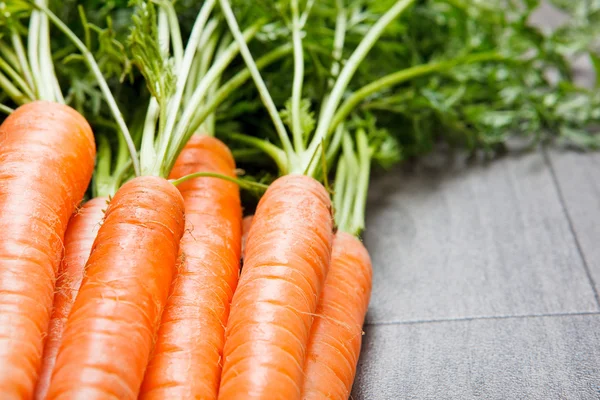 Морква крупним планом — стокове фото