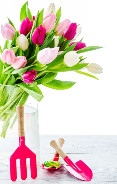 Весенние тюльпаны в стеклянной вазе — стоковое фото