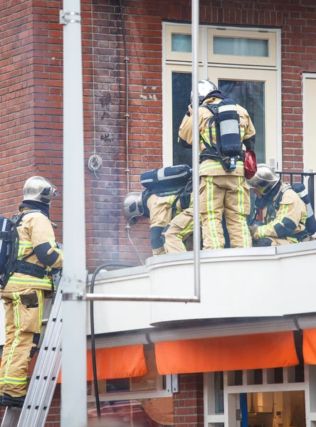 Firefighters team — Stock Photo, Image