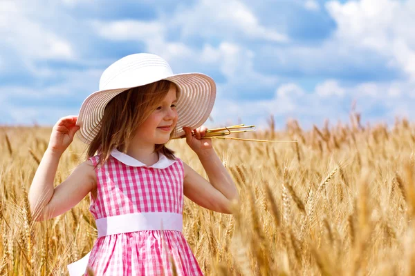 Wheat field — Stock Photo, Image