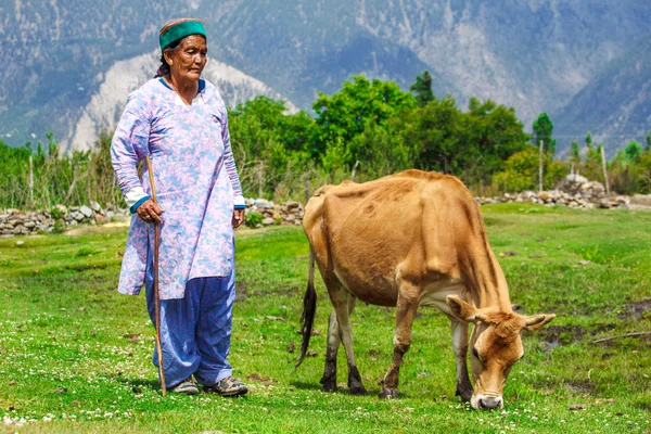 Yaşlı çoban — Stok fotoğraf