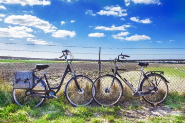 iki yetişkin Bisiklet