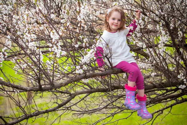 Chica sentada en el árbol en flor —  Fotos de Stock