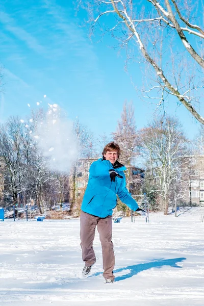 Sněhové koule — Stock fotografie