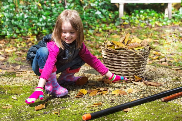 Menina pegando folhas de outono — Fotografia de Stock
