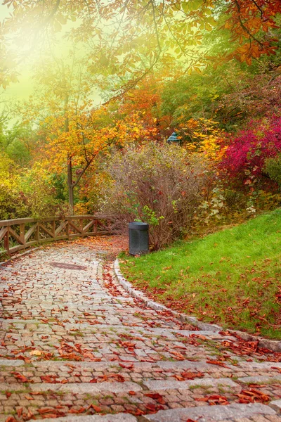 Podzimní kamenná cesta — Stock fotografie