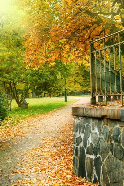 Parque de otoño —  Fotos de Stock