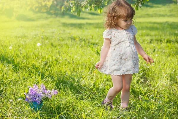 Дошкольная девочка в саду — стоковое фото