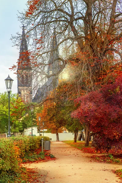 Осенняя церковь Святого Петра и Павла в Праге — стоковое фото