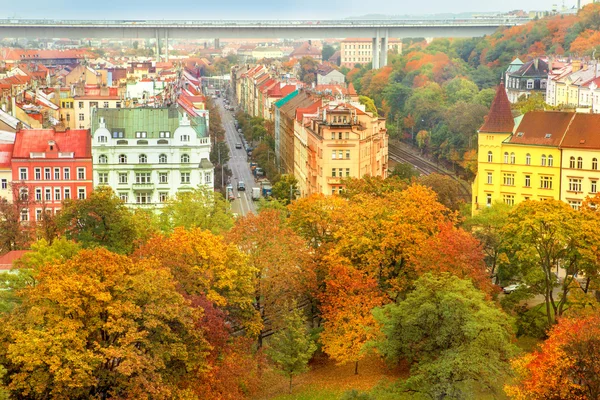 Roofs of autumnal Prague — Stock Photo, Image