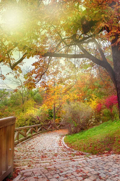 Egy fából készült kerítés a prágai Park — Stock Fotó