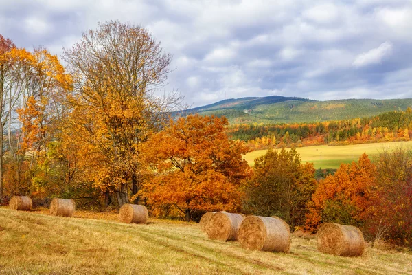 Colorful autumnal countryside — Stock Photo, Image