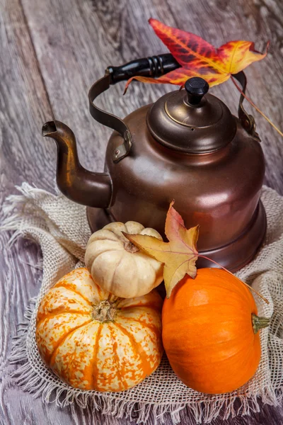Kettle and pumpkins — Stock Photo, Image
