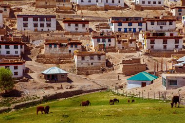 Himalaya Dağları'nda Kibber Köyü