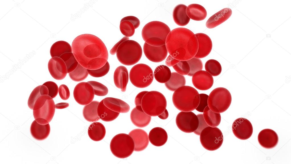 blood cells